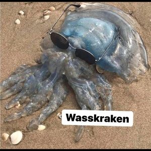 Meet your Posher, Ismael